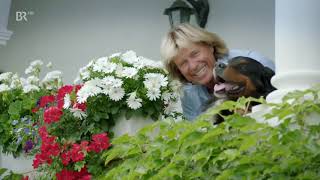 Silent love Lyrics English Translation