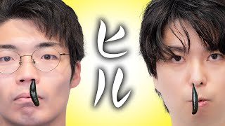 ヒル