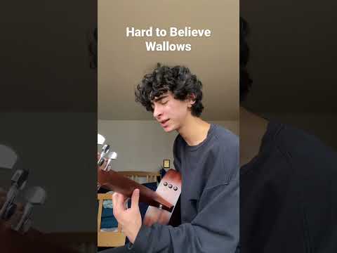 Hard to Believe by Wallows