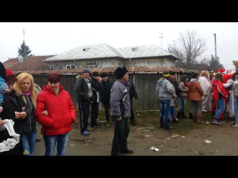 plug Vadu-Parului 2013 (4)