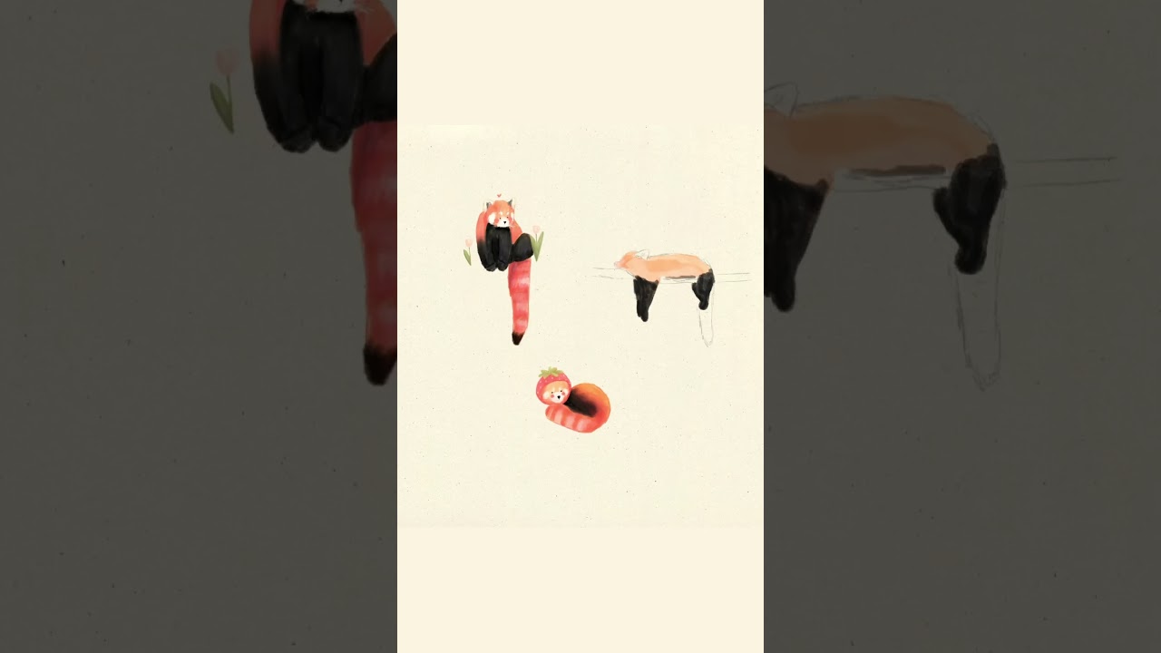 speedpainting of my red pandas !! 🌱❤️✨🌷 #painting #digitalart #illustration