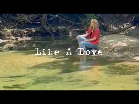 Like A Dove (feat. Gretyl Baird) Music Video by Aryn Michelle