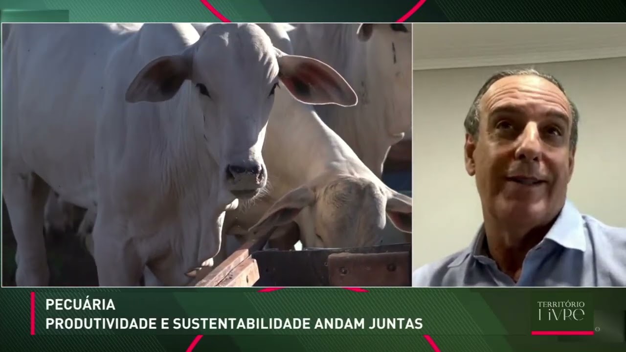 Produção sustentável: intensificação pode elevar produção na mesma área