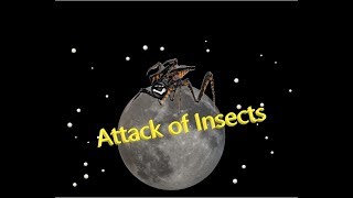 Attack of Insects - (The Steam Conundrum)