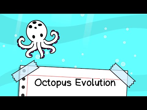 Octopus Evolution: Idle Game Video