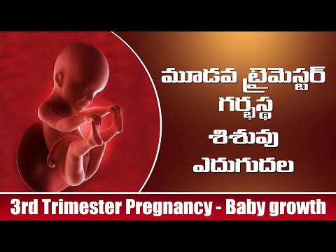 గర్భస్త శిశువు ఎదుగుదల - మూడవ ట్రైమిస్టర్ - exclusive pregnancy & child care channel