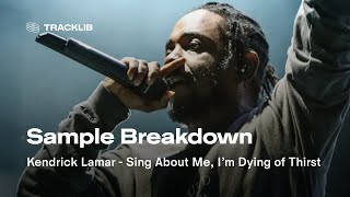 Sample Breakdown: Kendrick Lamar - Sing About Me, I’m Dying of Thirst