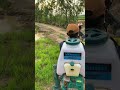 Organic Pesticides Machinery Agriculture Video Spraying Shorts
