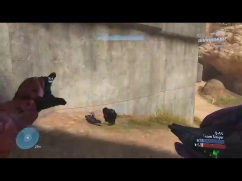 Thanks Hyena's 2nd account!