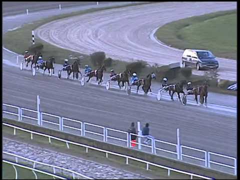 Trotto 16/12/2014 - 2° corsa