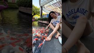 I'm afraid to give them my feet 🤪 #feet #fypシ #shortvideo #fish