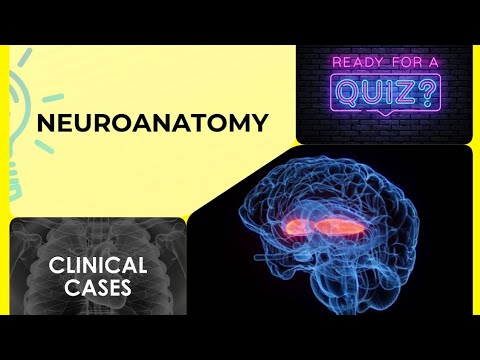 Neuroanatomy part 2 || clinical cases quiz 6 -10 ||  brain ct  made easy ❤️ || Stroke || 🧠 brain ||