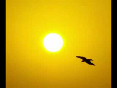 Eddie Vedder - Hard Sun (Into the wild soundtrack).flv
