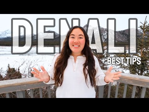 Best Tips to Visit Denali National Park (+ Where to Stay)