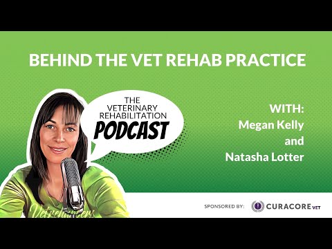 Behind The Vet Rehab Practice with Natasha Lotter - YouTube
