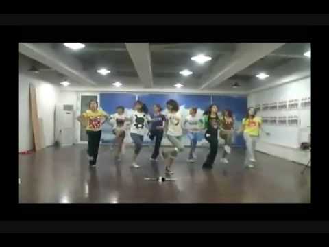 SNSD - Tell Me Your Wish (Dance Version Mirrored)