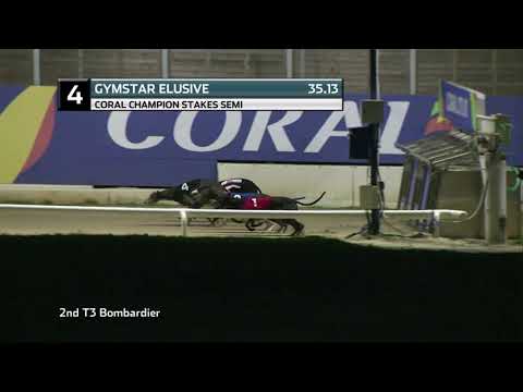 2021 CHAMPION STAKES - 1ST SEMI - T4 GYMSTAR ELUSIVE