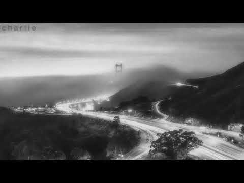 nevada - vicetone ft. cozi zuehlsdorff (slowed + lyrics)