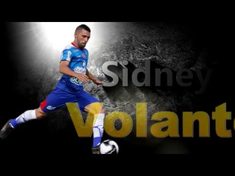 SIDNEY - VOLANTE 2016