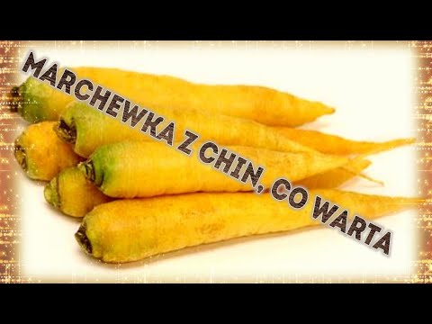 Pinpointer z Chin za 115 zł, co jest wart ? Test na zasięg i szybkość reakcji.