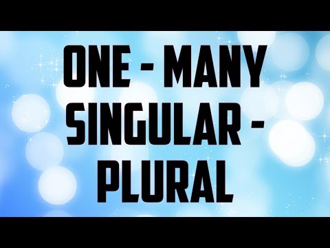 One - many/ singular- plural/English Grammar/एकवचनी - अनेकवचनी शब्द.