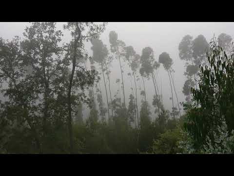 Ponto mais alto Caminho de Santiago Portugal Lisboa 8h de junho