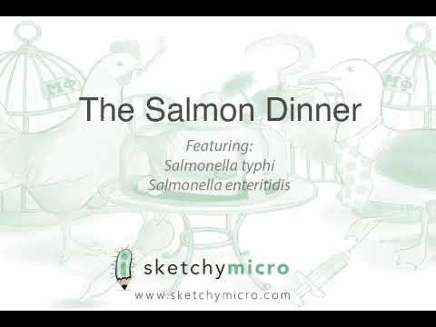 Gram - bacilli enteric tract(9)