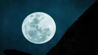 Nighttime In The City - Who Cares? - Greifenstein 2019