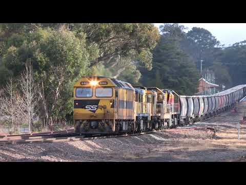 10 June 2020 - 4532, 602 and 4904 on SSR Grain 3476