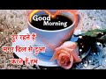 Good Morning Shayari Video गुड मॉर्निंग शायरी Good Morning Status Go