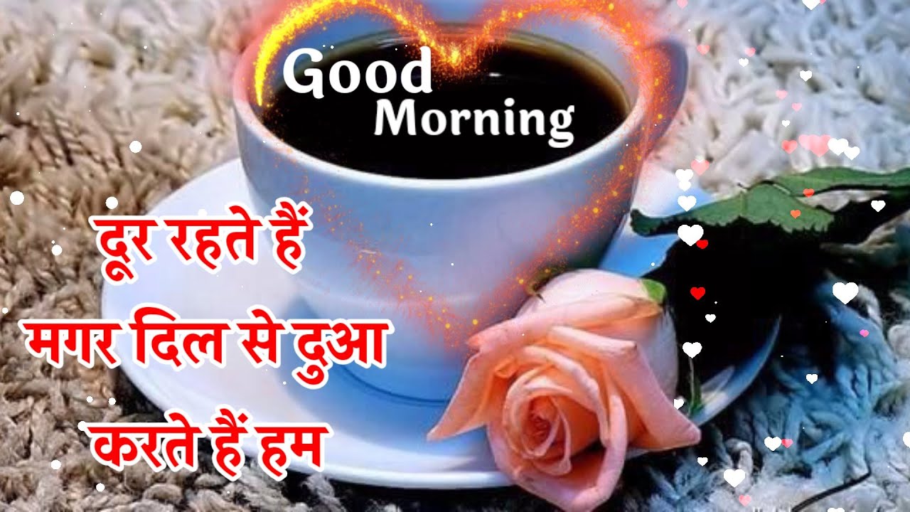 Watch video Good morning shayari video💖 गुड मॉर्निंग शायरी🌹 good morning status🌹Good morning wishes🌹 Photos Now Good morning shayari video💖 गुड मॉर्निंग शायरी🌹 good morning status🌹Good morning wishes🌹 Photos