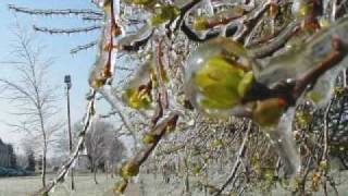 Hans Zimmer - Maestro (The Holiday soundtrack)