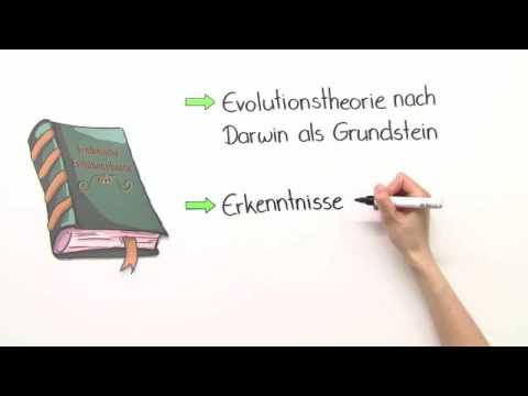 SYNTHETISCHE EVOLUTIONSTHEORIE | Biologie | Evolutionsbiologie