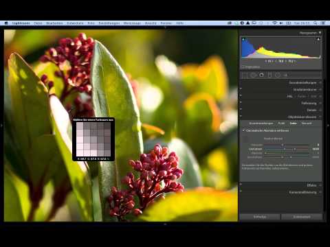 Chromatische Aberration selektiv entfernen