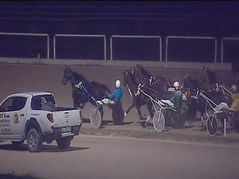 Trotto 14/12/2018 - 7ª corsa