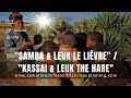 KASSAI LEUK THE HARE