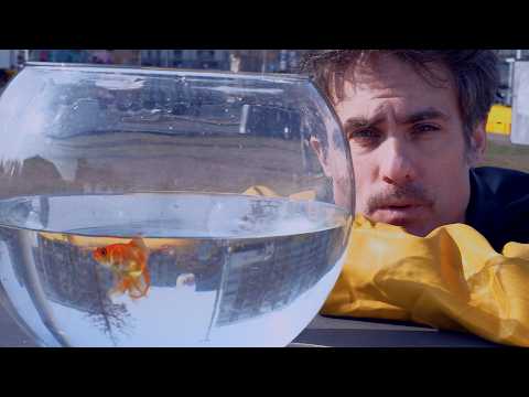 Gankino Circus - Regen (offizielles Musikvideo)