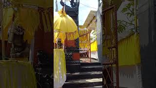 Download lagu Tedung kuning mp3