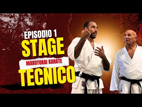 2-Day Technical Training Course in Mestre at the GT Shotokan Karate Dojo - MAKOTOKAI Fundamentals