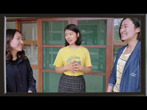 Papaya News - Renovação do dormitório NPTU