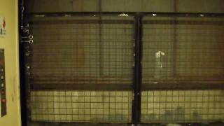 preview picture of video 'Penn City Hydraulic Freight elevator @ Willow Grove Park Mall Willow Grove PA'