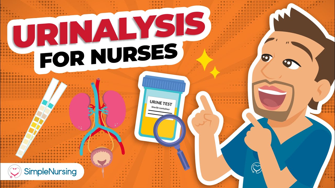 Urinalysis for Nurses | NCLEX Lab Values Made Simple
