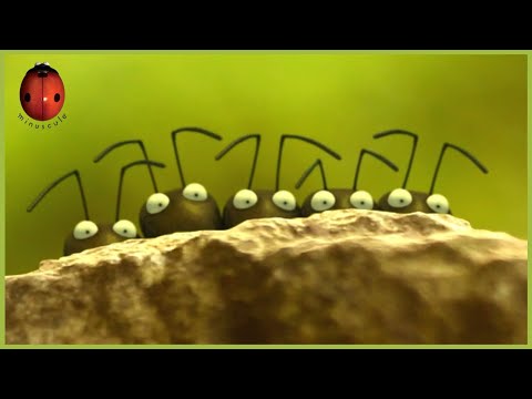 Rascals! | Minuscule 🍃 15' Compilation