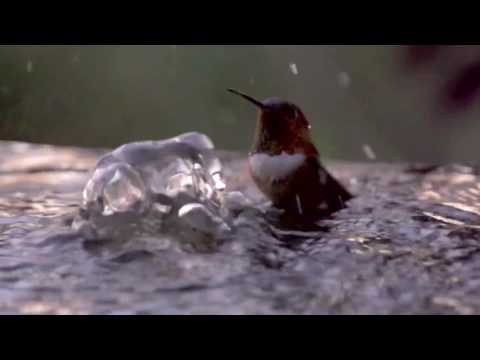 Allah, Al-Qadeer (the All-Powerful, the Omnipotent), Al-Muqtadir (the Prevailing Ordainer, the Powerful Determiner), Al-Qader  (the Able)