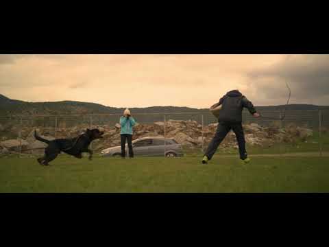 **GISMO VOM ROTHIRSCH** and Marek Urban at Workshop at D.o.Dogs!!!