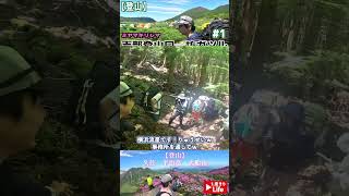【登山】九重連山の坊ガツルでテント泊し、法華院温泉山荘や大船山・平治岳にミヤマキリシマを見に行ってみた#shorts