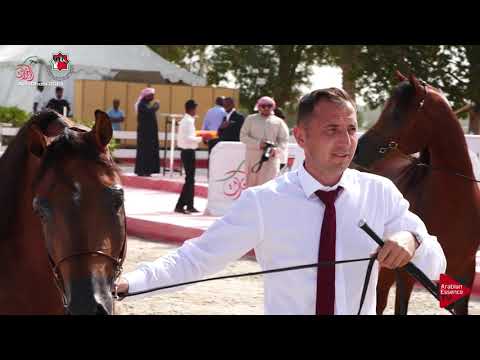 UAE National Championship Abu Dhabi 2019 - Fifth Day