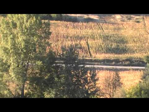 Girdoaia Com FLORESTI MH