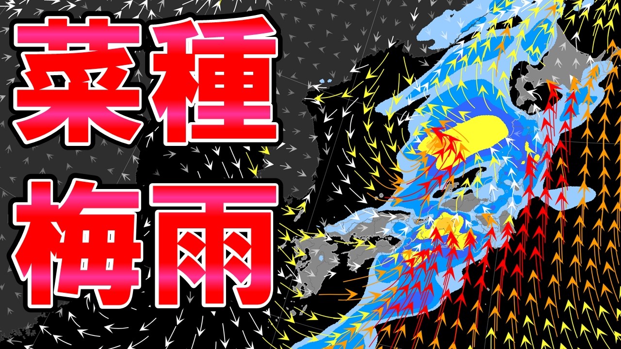 【菜種梅雨】雨の日多い 晴れても続かず 水不足解消も日射不足へ 大雨暴風に警戒も 気象予報士解説