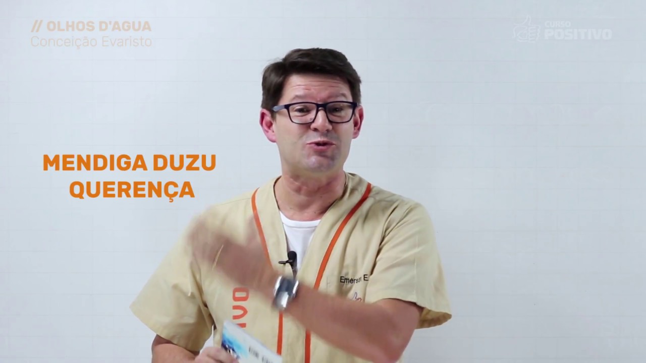 Resumo do livro Olhos D'agua - Introdução